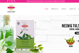 web designing and Development Company in vizag